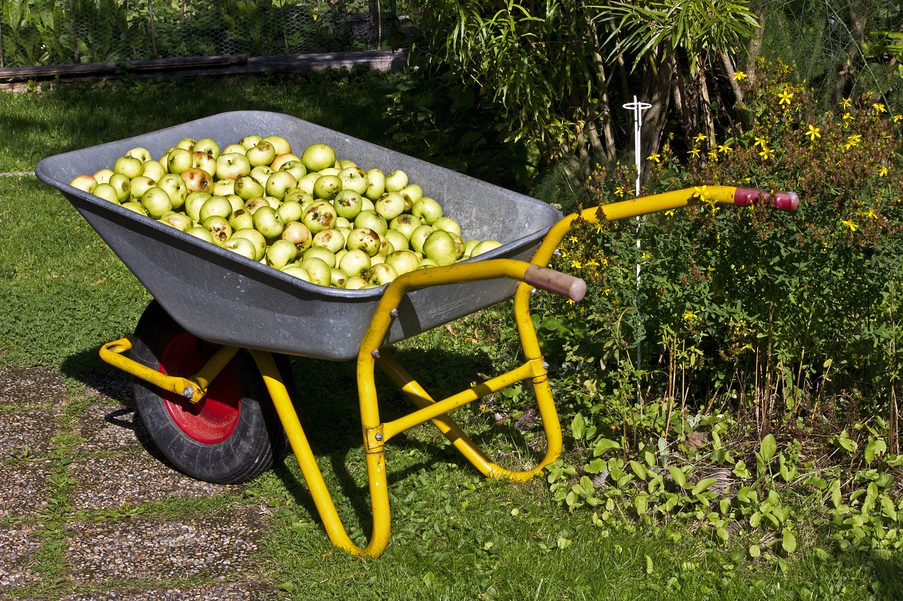 Organic Gardening Tips for Beginners